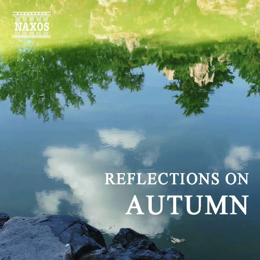 b影院全球最大库存最多的电影
